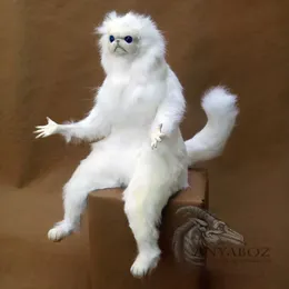 Meme photo of white cat with hands looking frustrated